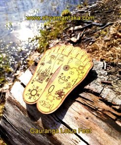 Lord Gauranga Lotus Feet