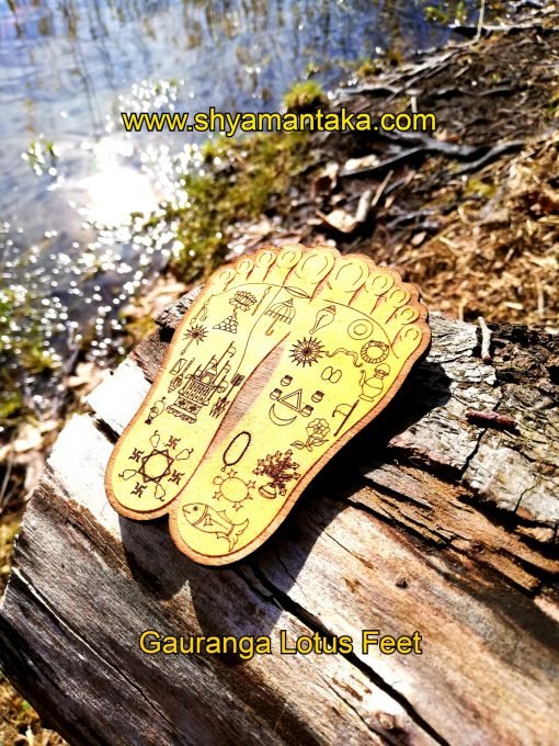 Lord Gauranga Lotus Feet