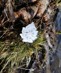 Sudarshana Chakra Brooch 4